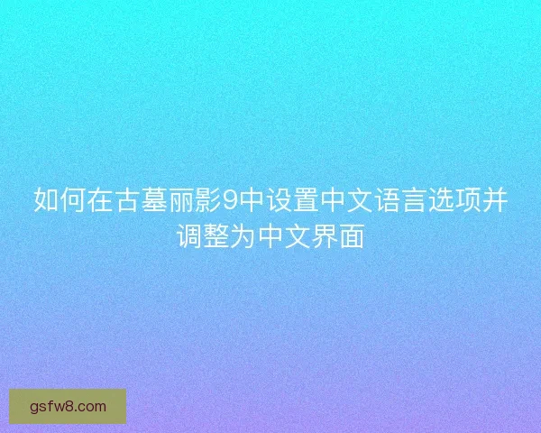 如何在古墓丽影9中设置中文语言选项并调整为中文界面