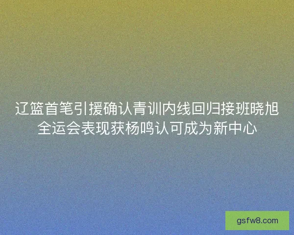 辽篮首笔引援确认青训内线回归接班晓旭全运会表现获杨鸣认可成为新中心