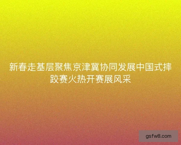 新春走基层聚焦京津冀协同发展中国式摔跤赛火热开赛展风采